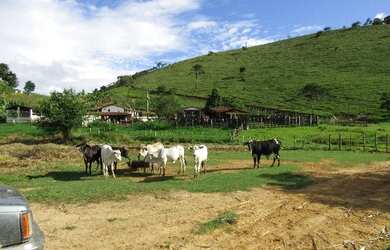 Imagem 6: Fazenda em Canhotinho Pe