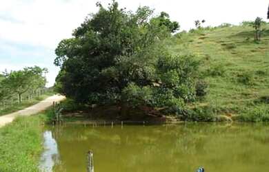 Imagem 12: Linda Fazenda em Ipiaú Bahia