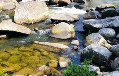 Imagem 6: Lumiar locação por temporada - casa situada na Pedra Riscada