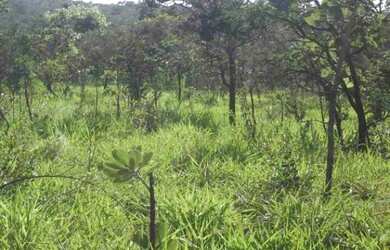 Imagem: A chácara está localizado em Jaboticatubas, MG à venda por