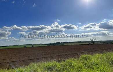 Imagem 13: Fazenda com 40 alqueires para agricultura Nogueira Imóveis Rurais