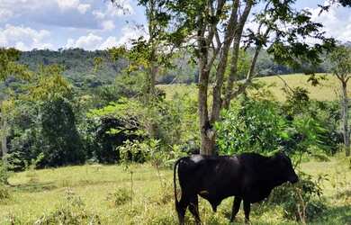 Imagem: O terreno possui 20.000m² de Área e está localizado em Fortuna