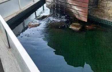 Imagem 4: Apartamento com 3 dormitórios, 125 m² - venda por R$ 530.000,00 ou aluguel por R$ 3.000,00