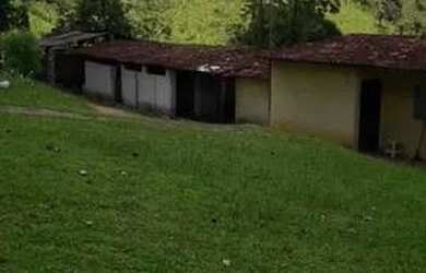 Imagem 6: Sítio / chácara em Paudalho 10 hectares