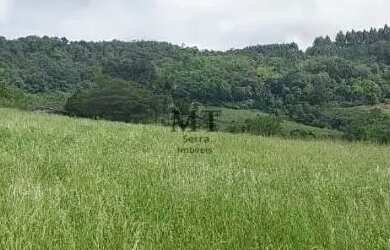 Imagem 9: Sítio bairro Linha Brasil, Nova Petrópolis.RS Ref. 134