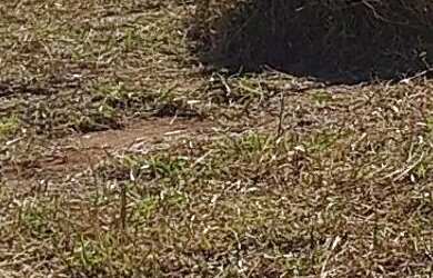 Imagem: A chácara possui 510m² de Área e está localizado em Vila