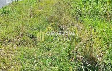 Imagem: O terreno possui 10m² de Área e está localizado em Ivoti