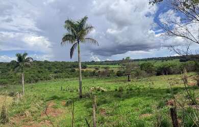 Imagem 3: VENDE SE CHACARA EM GOIANIRA