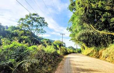 Imagem 9: Sítio / Chácara para Venda em Nova Petrópolis, Linha Pirajá Baixa