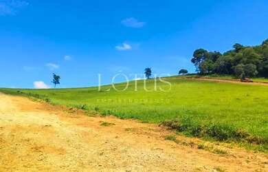Imagem 7: 83A- PAZ, SEGURANÇA E NATUREZA