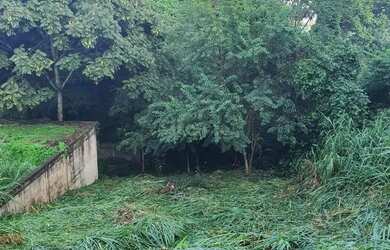 Imagem: O terreno possui 319m² de Área e está localizado em Vila