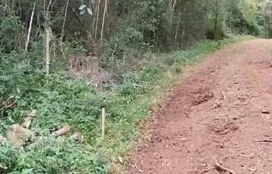 Imagem 5: Sítio / Chácara para Venda em Nova Petrópolis, Linha Imperial