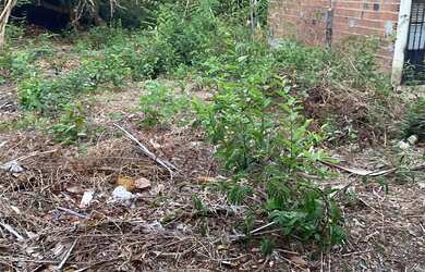 Imagem 4: VENDO TERRENO EM PANAQUATIRA