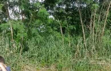 Imagem 2: Vendo meio lote. 80m² de Área