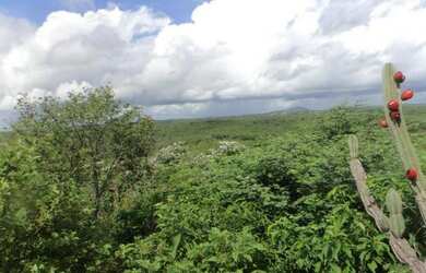 Imagem 2: Fazenda Quixeramobim - Vendo