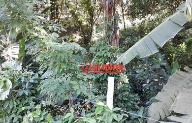 Imagem 10: Terreno à venda, 5000 m² por R$ 400.000 - Piratininga - Niterói/RJ - TE0714