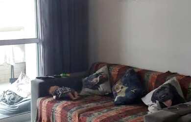 Imagem: O apartamento possui 2 Dormitórios, 1 Banheiro, 5 Vagas na