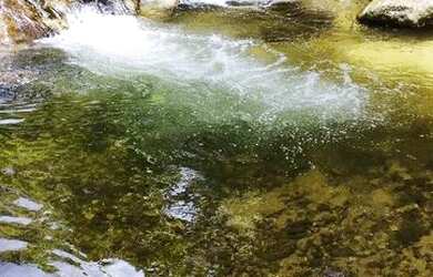 Imagem: A casa possui 2 Dormitórios, 3 Vagas na garagem e está localizado