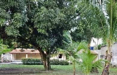 Imagem 3: Excelente Casa Beira Mar com Terreno em Cacha Pregos, Ilha Vera Cruza