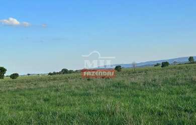 Imagem 2: Fazenda 147,3 alqueires 713 hectares Bom Jardim de Goiás