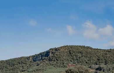 Imagem 4: Terreno - Bairro Várzea Grande