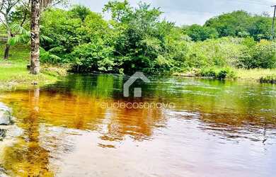 Imagem 11: Sítio km 45 de Novo Airão, Igarapé de água corrente, Luxo