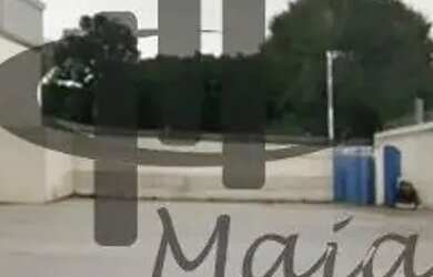 Imagem 7: Locação Galpão Sao Paulo Lapa Ref 39606