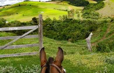 Imagem 1: Arrendo Fazenda/Propriedade