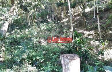 Imagem 11: Terreno à venda, 5000 m² por R$ 400.000 - Piratininga - Niterói/RJ - TE0714