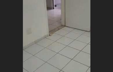 Imagem 2: Alugo apartamento Central Park