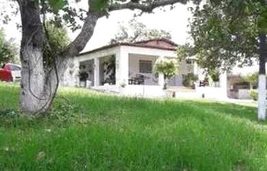 Imagem 2: Sítio / chácara em Paudalho 10 hectares