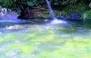 Imagem: Fins de semana na casa da Cachoeira no pé da Serra de Friburgo