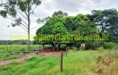Imagem 5: Fazenda 20,0 alqueires em soja, ribeirão, Monte Alegre de Minas MG