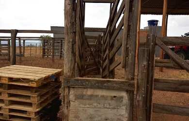 Imagem 13: Fazenda de 625 Hectares de Terras de Cultura e Cerrado Vermelho, Muita...