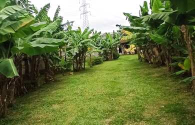 Imagem: Vende se Terreno 558 m² em Caraguatatuba