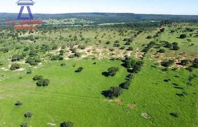 Imagem 9: Fazenda com 1.500 hectares - 20 km de Montes Claros