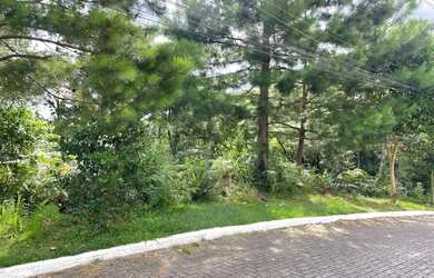 Imagem 4: Área de terra em Gramado