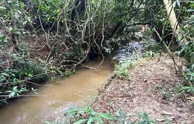 Imagem: A fazenda possui 1.500m² de Área e está localizado em Área
