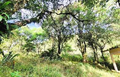 Imagem: A fazenda possui 30.728m² de Área e está localizado em Nova