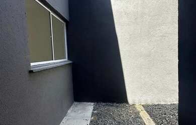 Imagem 13: Repasse pau amarelo