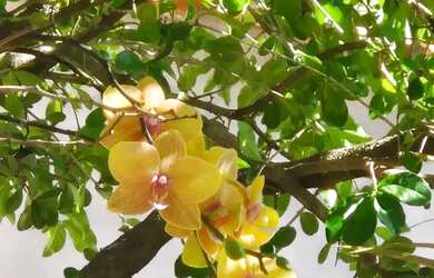 Imagem 15: Casa Maravilhosa em Condomínio Fechado em - São Gonçalo - RJ