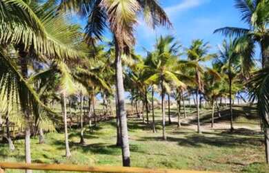 Imagem: O terreno está localizado em Centro, Barra Dos Coqueiros à