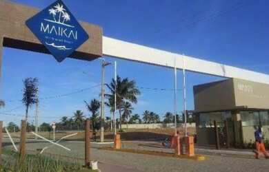 Imagem 4: Vendo lote no Maikai