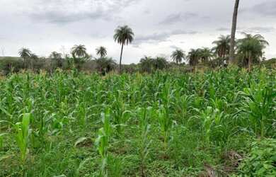 Imagem: O terreno está localizado em Jaboticatubas, MG à venda por
