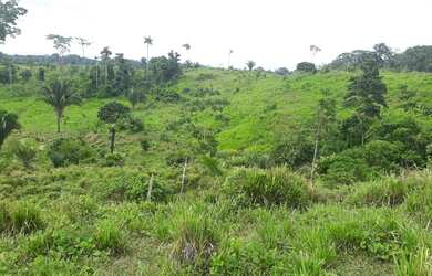 Imagem: A fazenda possui 235m² de Área e está localizado em Manoel