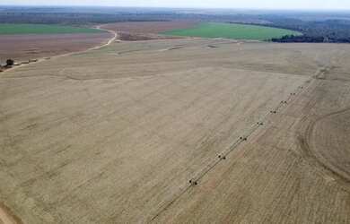 Imagem: A fazenda está localizado em Uberlândia, MG à venda por R$50.000.000
