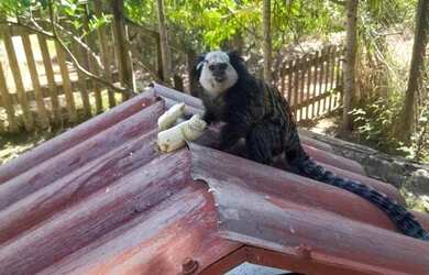 Imagem 14: Casa com 4 dormitórios à venda, 375 m² por R$ 950.000,00 - Village...