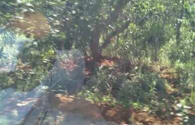 Imagem: A fazenda está localizado em Fundinho, Uberlândia à venda