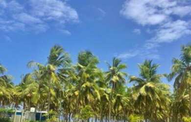 Imagem 5: Vendo lote no Maikai