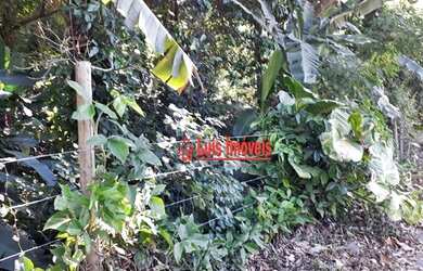 Imagem 6: Terreno à venda, 5000 m² por R$ 400.000 - Piratininga - Niterói/RJ - TE0714